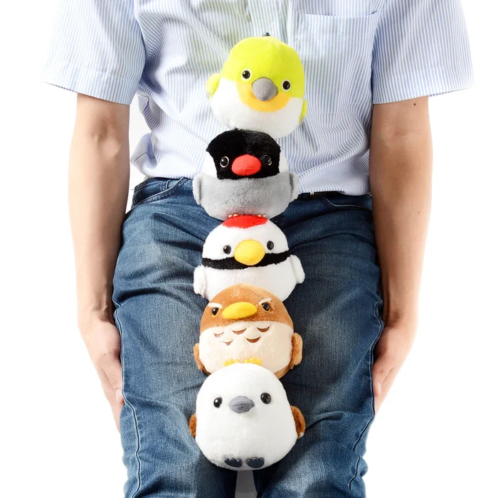 Kotori Tai Appare Bird Plush Collection (Standard) - Image 16