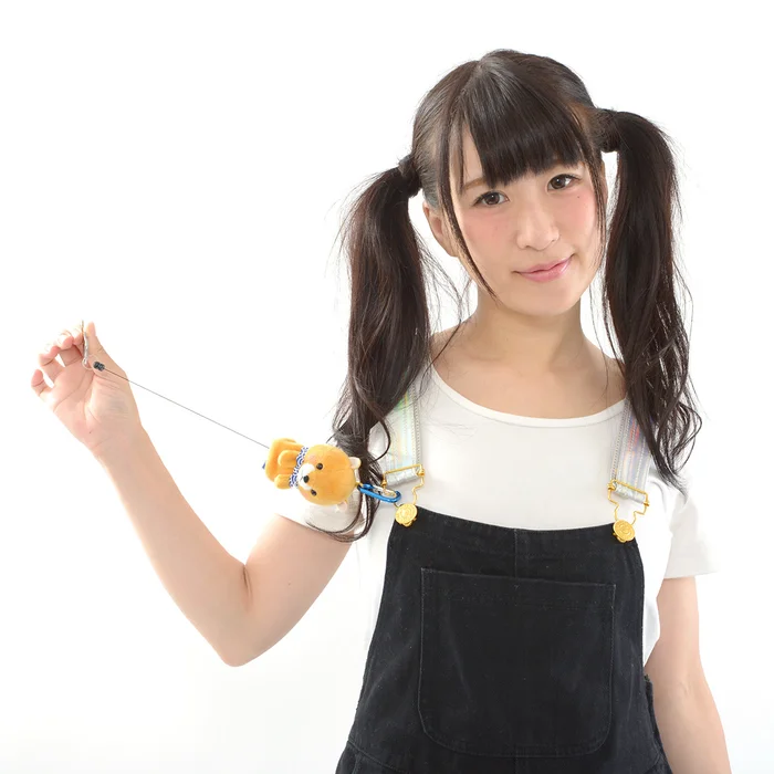 Mameshiba San Kyodai Dog Reel Key Cover Collection - Image 9