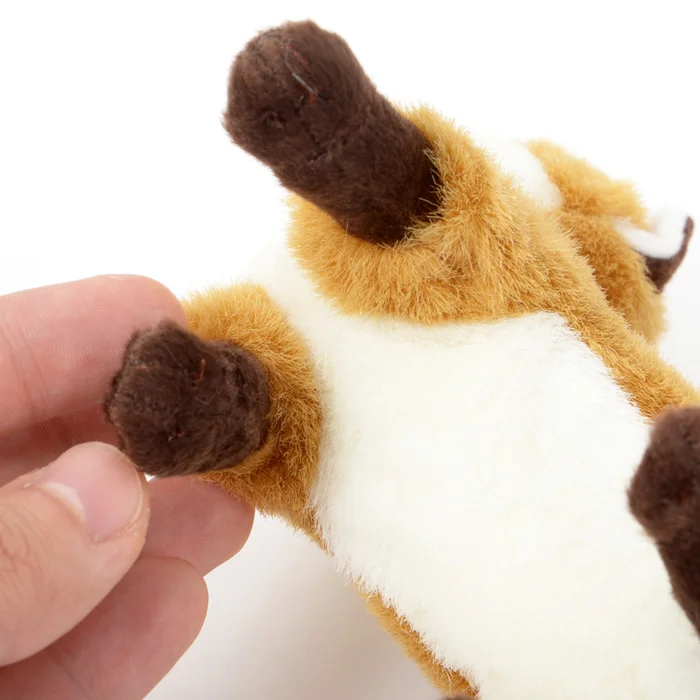 Japanese Animal Plush: Sakhalin Fox - Image 7