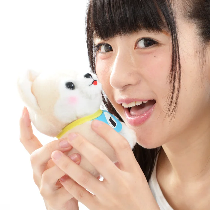 Mameshiba San Kyodai Komoriuta Dog Plush Collection (Standard) - Image 13