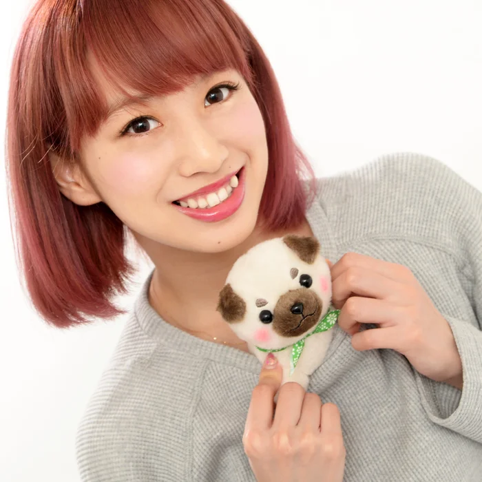 Mameshiba San Kyodai Nihonbare Dog Plush Collection (Standard) - Image 11