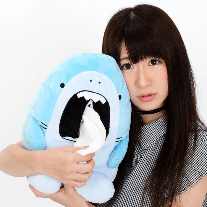 Same-Z Hoojiro Tissue Box Cover - Image 13