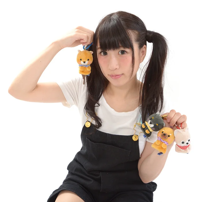 Mameshiba San Kyodai Dog Reel Key Cover Collection - Image 7